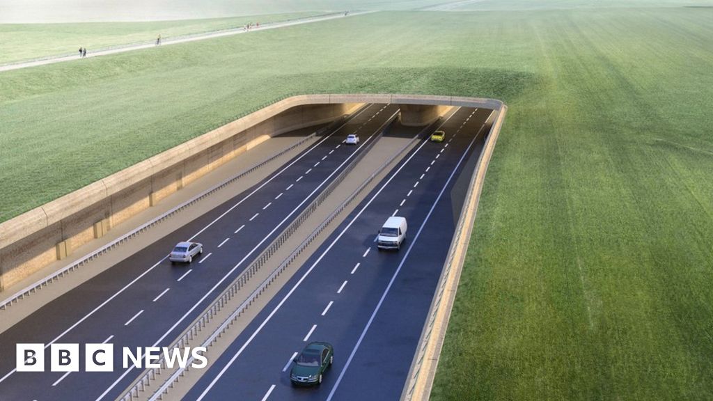 Stonehenge A303 tunnel like 'David and Goliath' fight