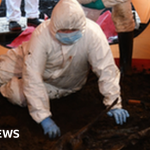 Bellaghy bog body: Human remains are 2,000 years old