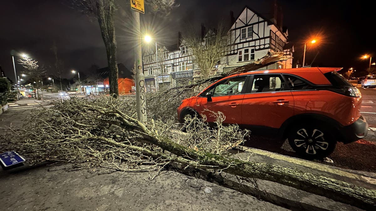 Full list of school closures as Storm Isha causes travel chaos across UK