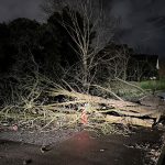 Man, 84, dies after car collides with fallen tree during Storm Isha