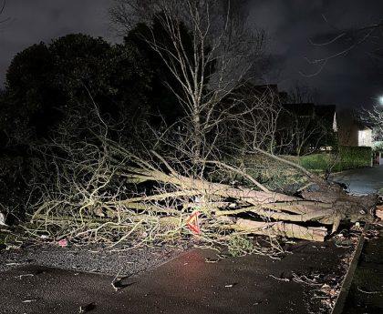 Man, 84, dies after car collides with fallen tree during Storm Isha