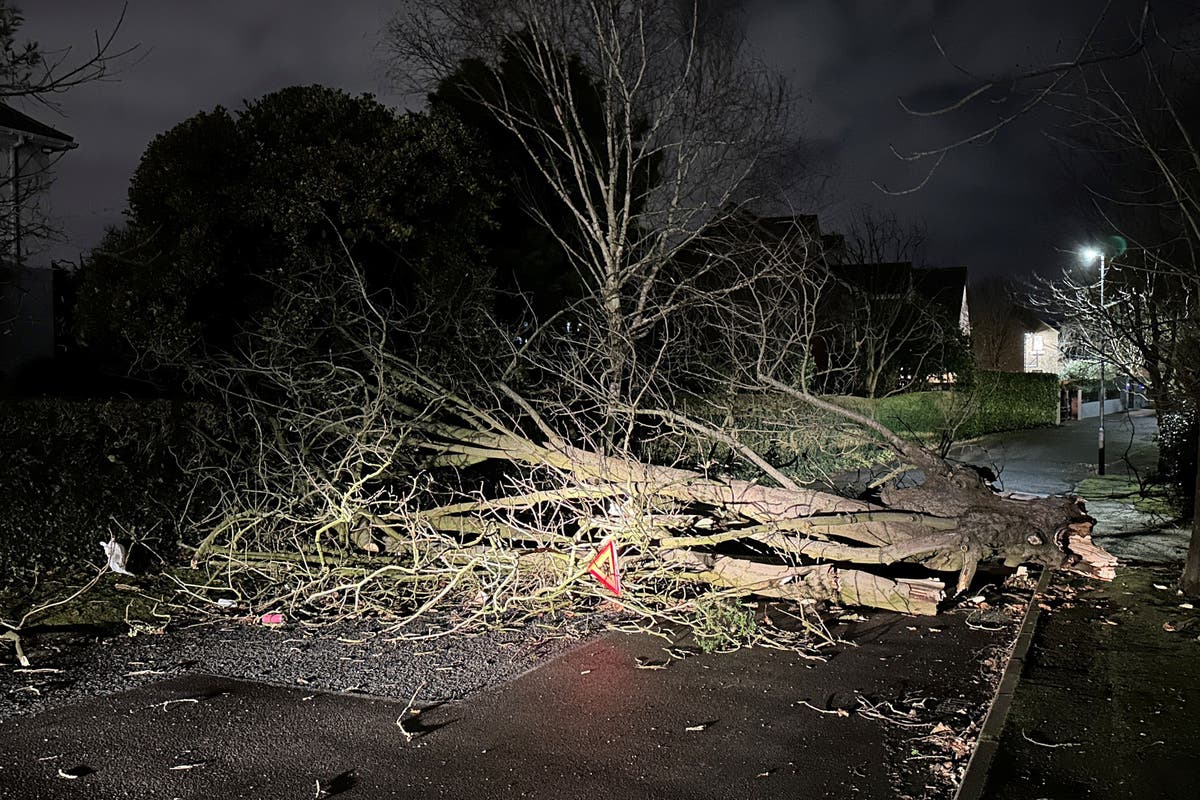 Man, 84, dies after car collides with fallen tree during Storm Isha