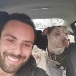 Meet the man driving across the country to ‘rescue’ XL bully dogs