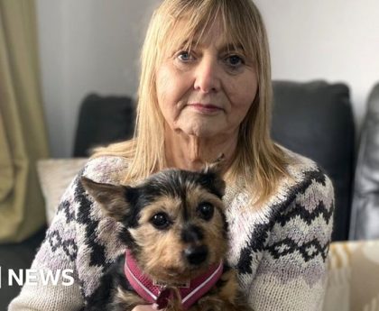 Missing pets: 'Heartless' scammers targeting desperate owners