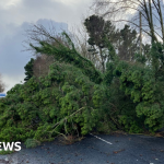 NI weather: Storm Jocelyn prompts yellow wind warning