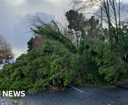 NI weather: Storm Jocelyn prompts yellow wind warning