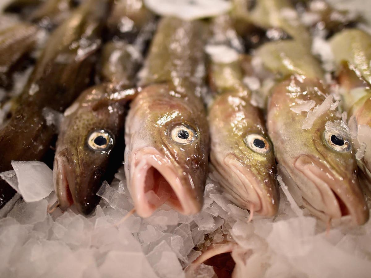 Russia preparing to ban Britain from fishing for cod and haddock in Barents Sea