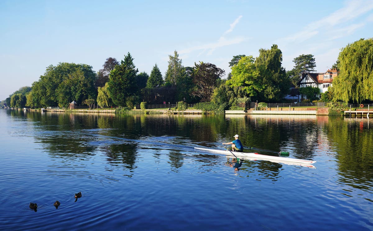 UK weather: Britain records warmest ever January temperature, Met Office reveals