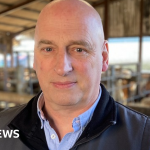 'Myriad of problems' with new livestock IT system