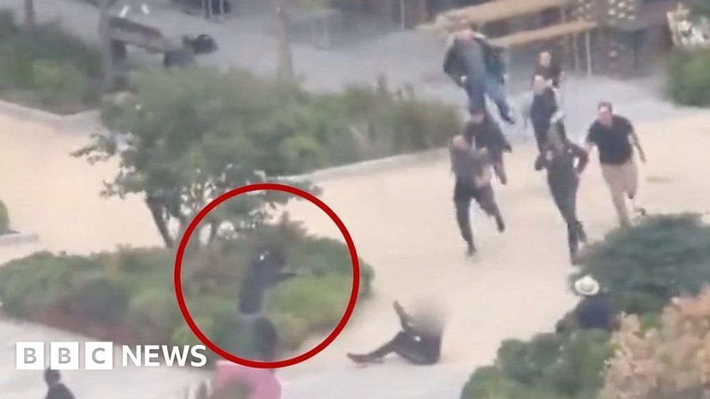 Dramatic moment off-duty police team charge at knifeman in London