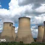 Drax: UK power station burns wood from rare forests