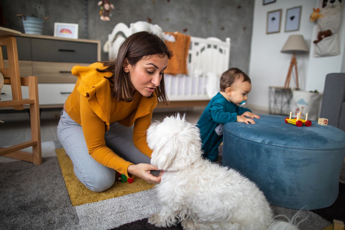 Government urged to double maternity pay to reach minimum wage as mothers choose between food and heat