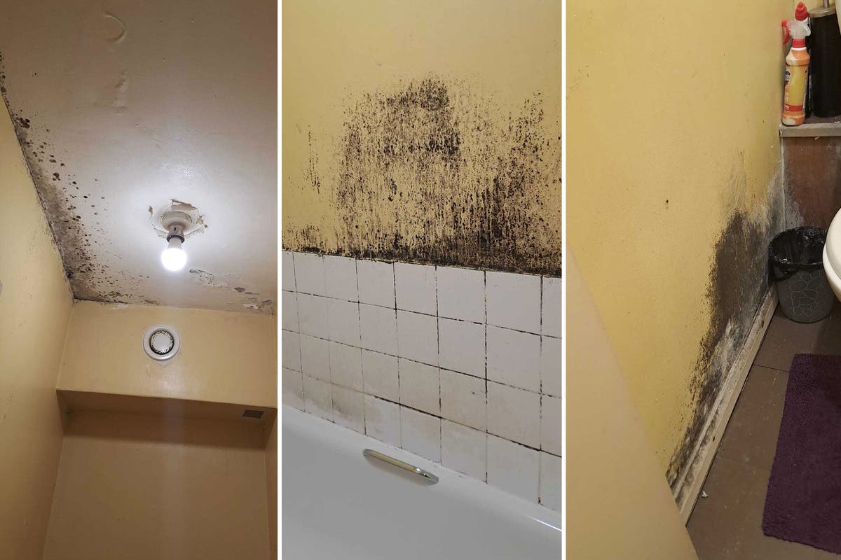 Inside the London estate where residents deal with mould, floods, and stabbings - while their landlord makes £100m surplus