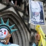 Julian Assange risked lives by publishing secrets - US