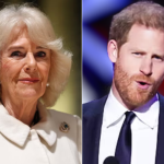 King Charles cancer news: William ‘upset’ at Harry’s ‘PR stunt’ as Kate update given