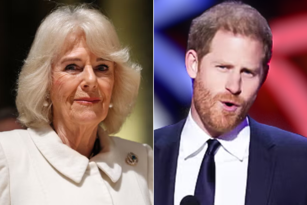 King Charles cancer news: William ‘upset’ at Harry’s ‘PR stunt’ as Kate update given