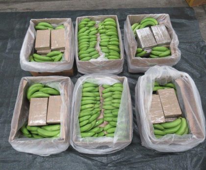 Largest ever class A drugs haul found hidden in bananas at UK port