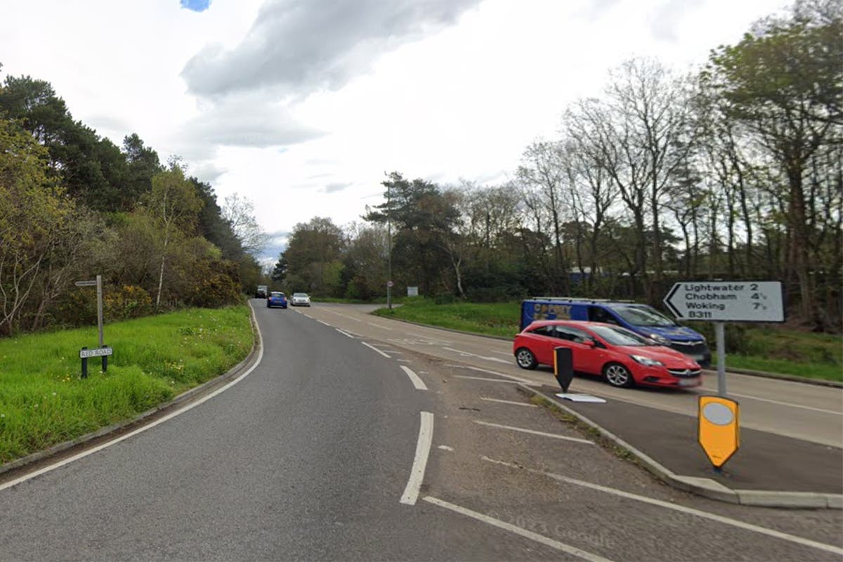 Man and child killed in Surrey horror crash