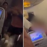 Shirtless British man punches air steward after destroying aircraft toilet, arrested