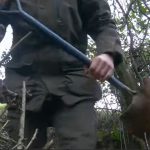 Terriermen for hunt supported by Jacob Rees-Mogg caught on film ‘blocking badger setts’