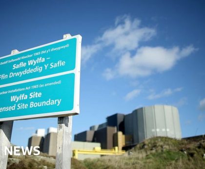 Wylfa: UK government in talks to buy nuclear site - report