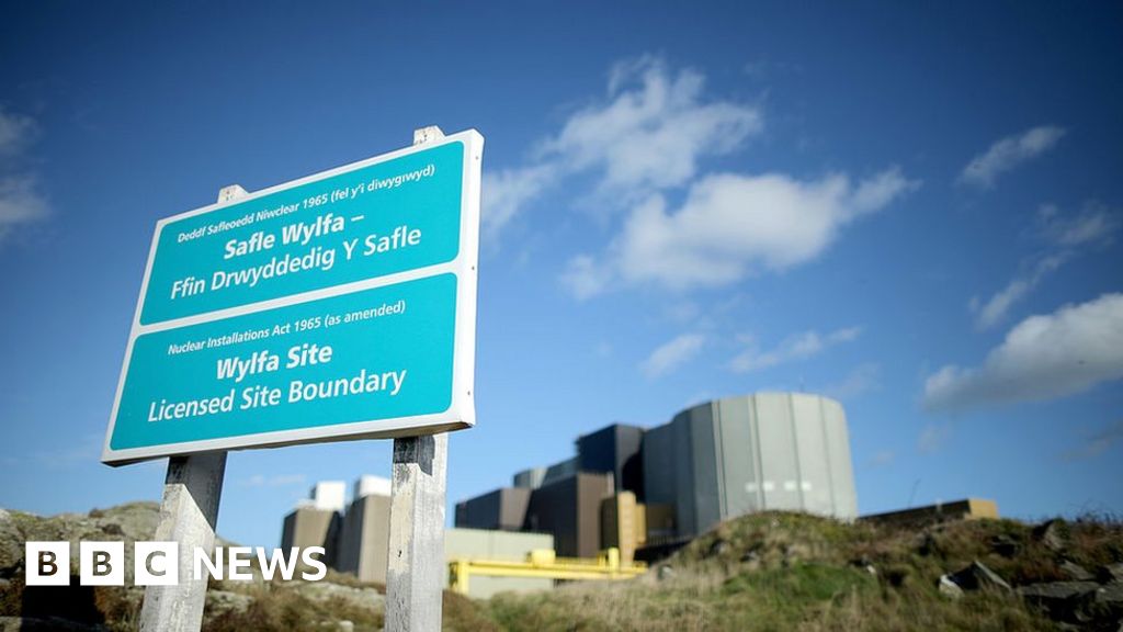 Wylfa: UK government in talks to buy nuclear site - report