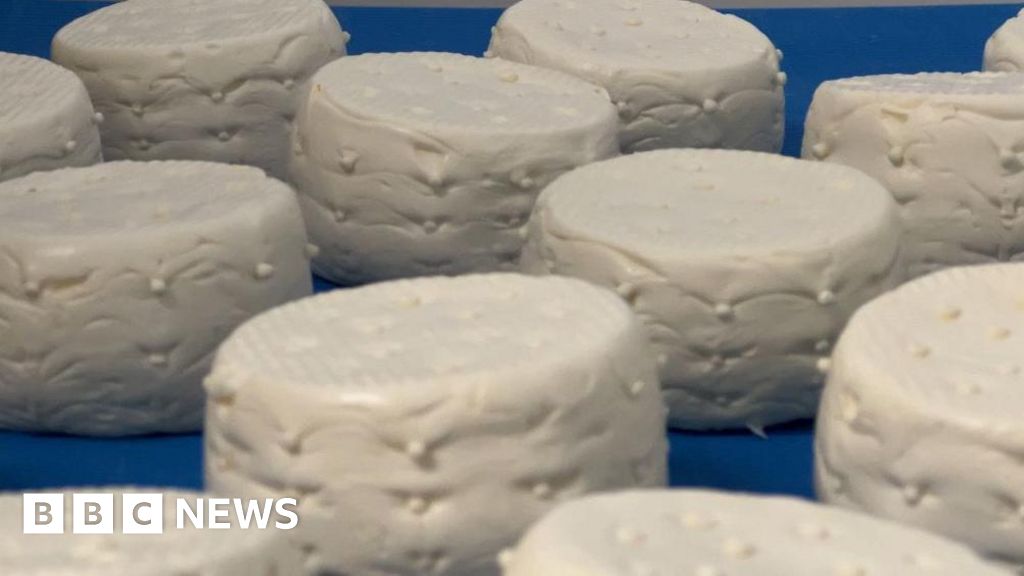 'Cheesemaker's dream' as Snowdrop wins top award