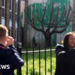 Banksy confirms London tree mural is his