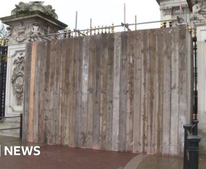 Man arrested after Buckingham Palace gate crash