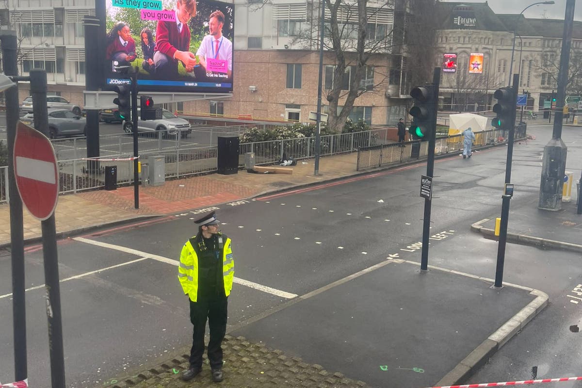 Man, in 30s, dies after being shot outside theatre in south London