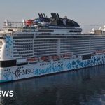 Passenger overboard from cruise ship, firm says