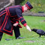 Ravenmaster Barney Chandler has just started ‘the most important job in England’