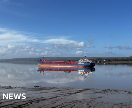 Stranded cargo ship could be stuck for several days