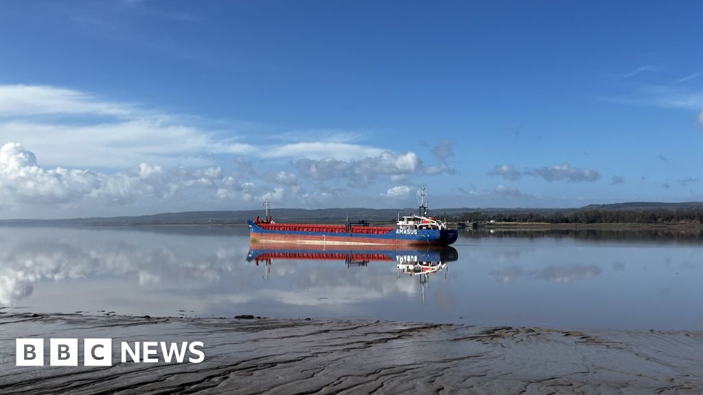 Stranded cargo ship could be stuck for several days