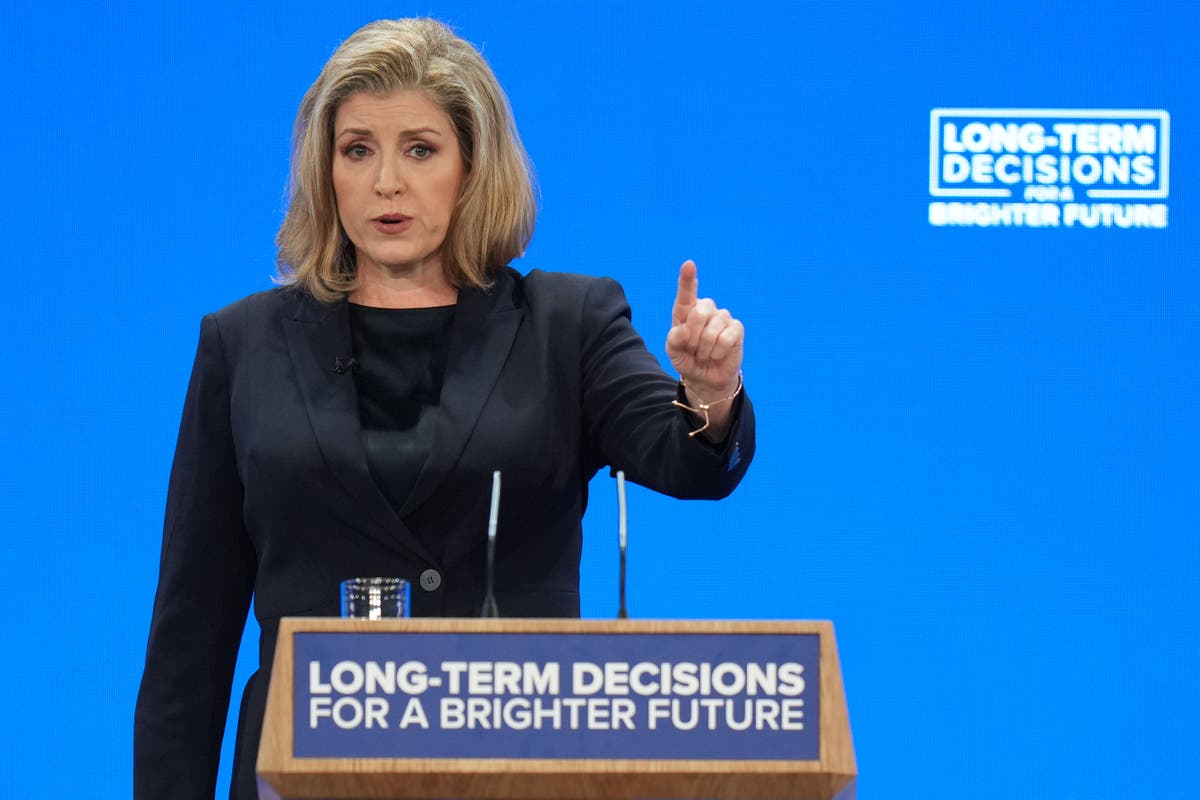 Tories downplay ‘plot’ to replace Rishi Sunak with Penny Mordaunt