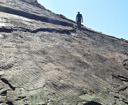 ‘World’s oldest fossil forest’ discovered on south coast of England