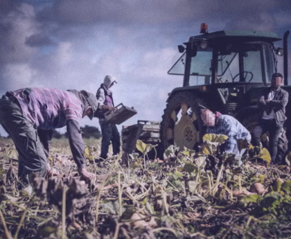 Migrant fruit pickers saddled with debts of up to £5,500 to come to UK through government scheme, report finds