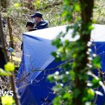 Murder arrest over torso found in woodland