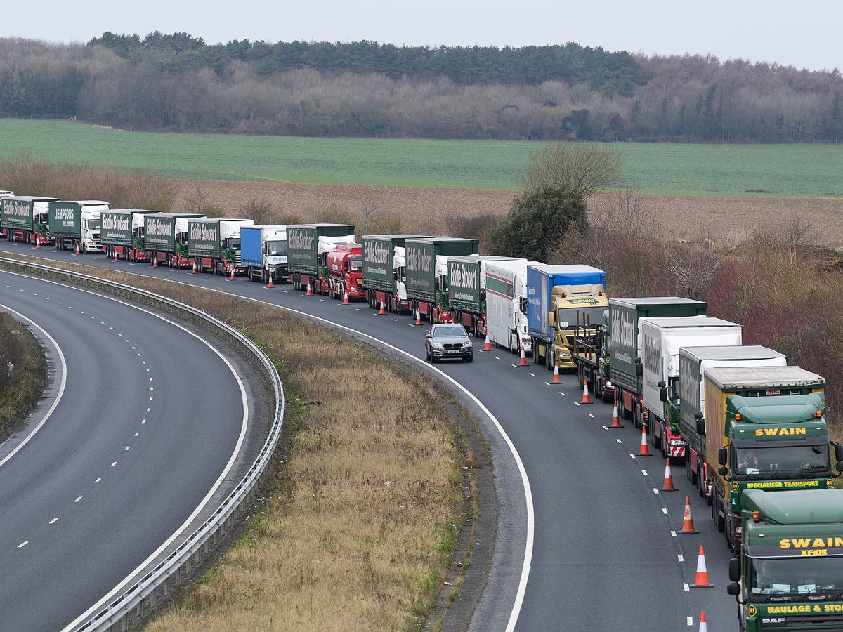 Brexit news - live: New checks on food and price imports come into force