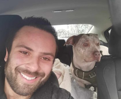 Meet the man driving across the country to ‘rescue’ XL bully dogs