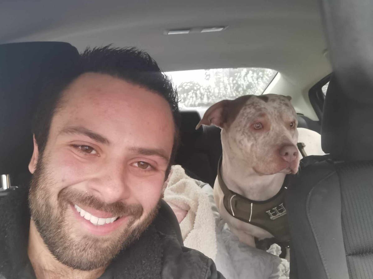 Meet the man driving across the country to ‘rescue’ XL bully dogs