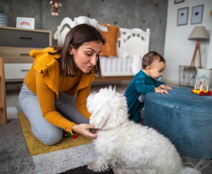 Government urged to double maternity pay to reach minimum wage as mothers choose between food and heat