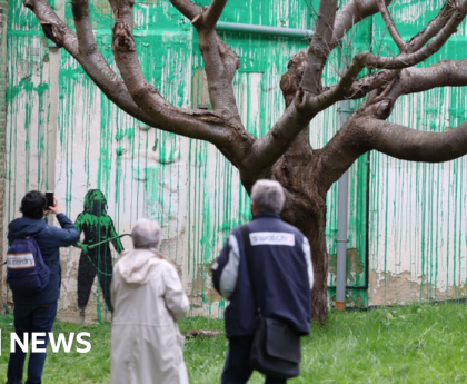 Banksy art creates urban tree debate, pruner says