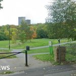 Murder probe after man, 24, dies in park