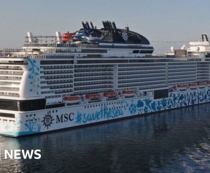 Passenger overboard from cruise ship, firm says