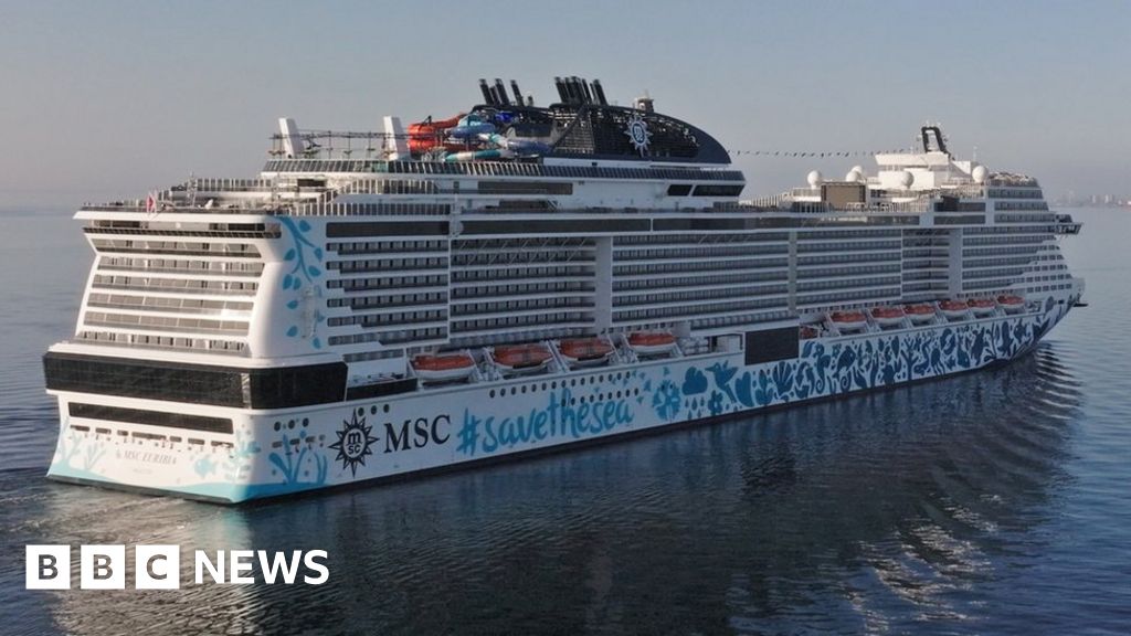 Passenger overboard from cruise ship, firm says