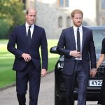 Kate Middleton news: Harry has ‘no choice’ but to see William on next visit; BBC defends cancer coverage